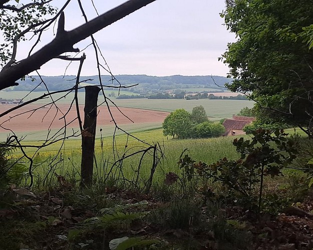 Découvrir le domaine de Courboyer à son rythme
