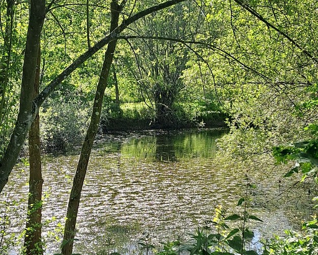 Découvrir le domaine de Courboyer à son rythme
