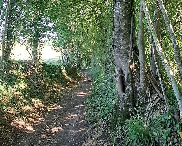 Découvrir le domaine de Courboyer à son rythme