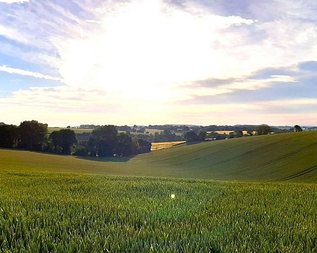 Découvrir le domaine de Courboyer à son rythme