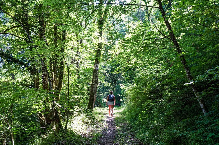 Wandelroute - Circuit du Sappey