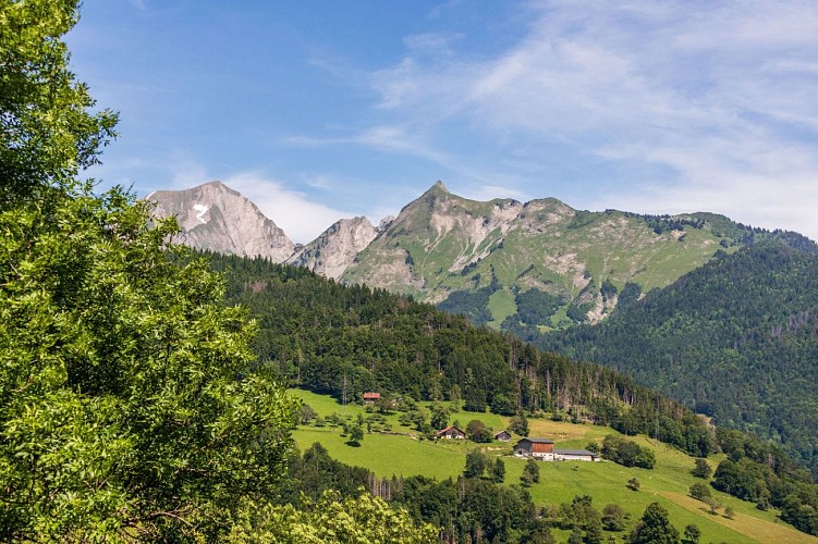 Wandelroute - Circuit du Sappey