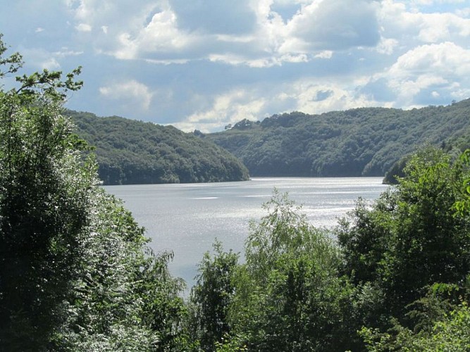 Vues sur le lac de Sarrans et ses 1000 hectares