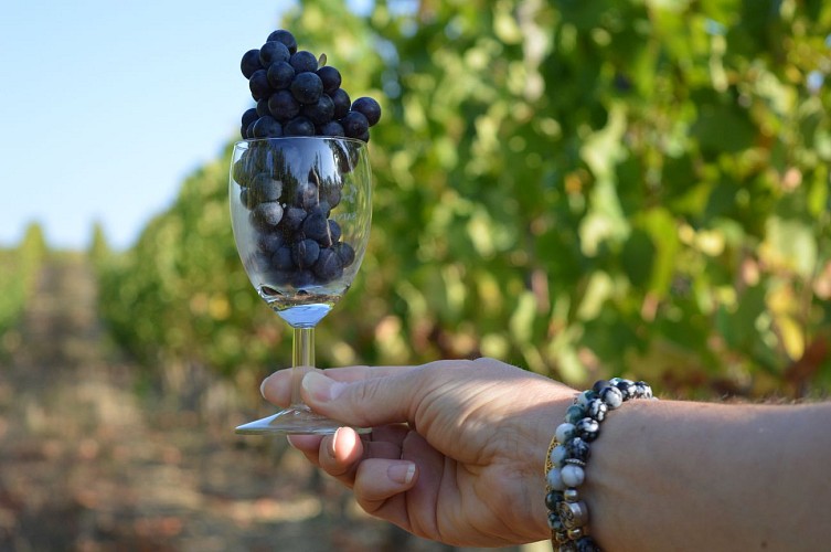 Circuit VTT - Le village de Philippe Valette - 11 km