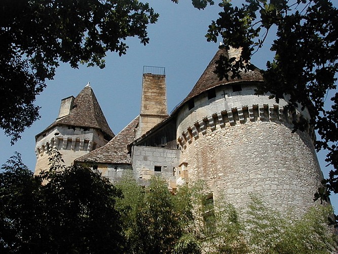 chateau-de-lanquais3
