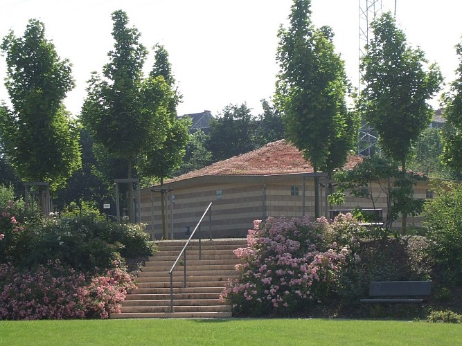 Cheratte-Haut : Land van bijen en strips