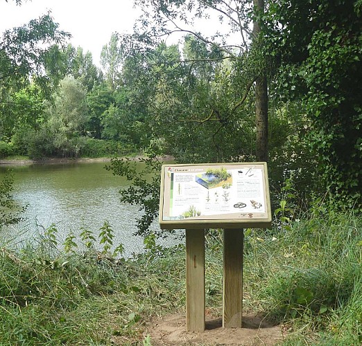 Sentier d'interprétation du Bois de l'Ile