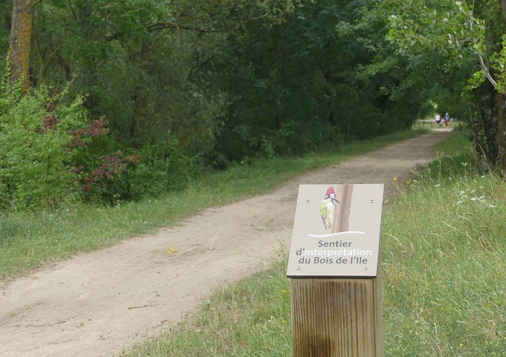 Sentier d'interprétation du Bois de l'Ile
