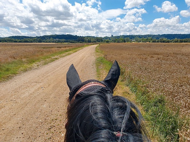 GRP-de-Pays-avant-Champigny-Montoire