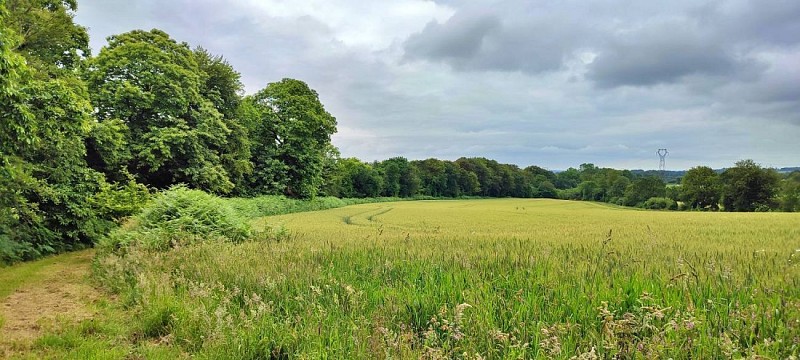 Chemin dans la campagne de Louargat
