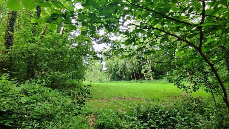 Boucle de Kergunteuil | Louargat