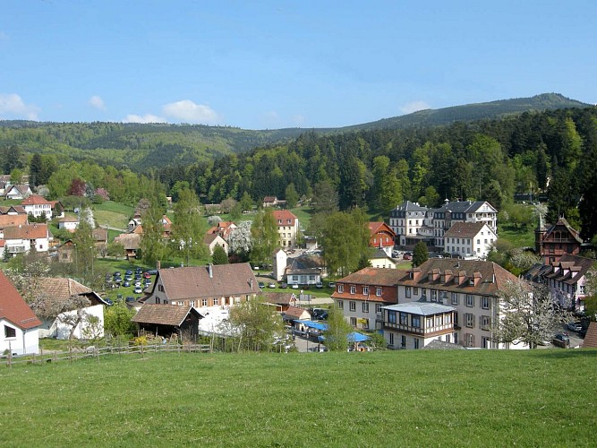 Kinderwagen-Rundweg CDF02: Rund um Hohwald