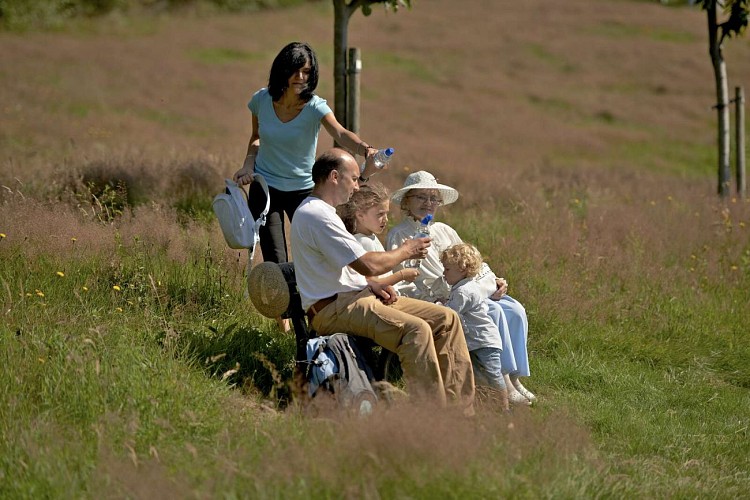 Kinderwagen Rundweg H04 : Saales Park