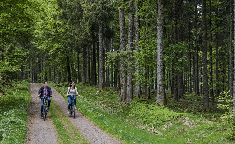 Mountainbiketour C19 : Vom Kreuz von Jacques bis La Drille