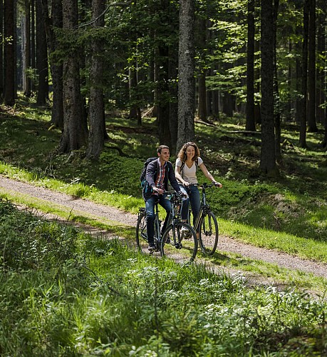 Road bike circuit C01 : Loop from Rothau via Champs du Feu, Belmont, Stampoumont and Plaine