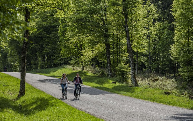 Rennradtour C08 : Wanderung von Schirmeck über Grendelbruch Le Hohwald Le Champs du Feu und Struthof
