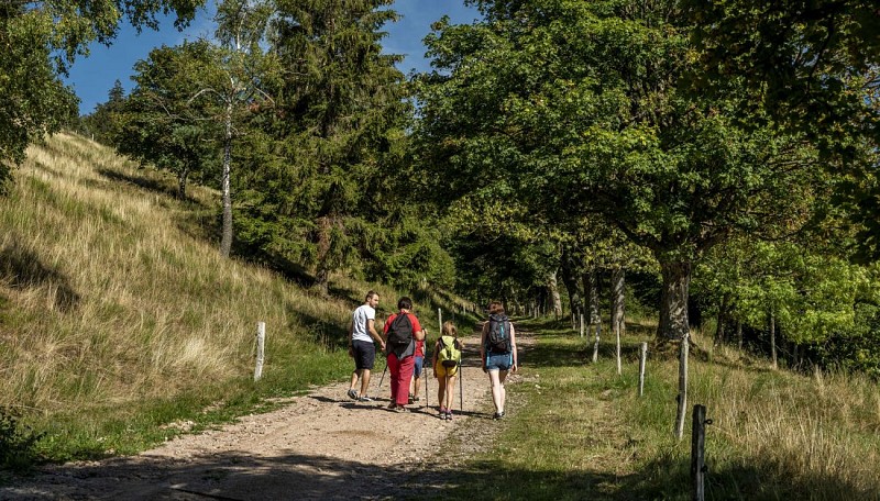 Snowshoe trail B02 : Around-the-Hohbuhl-from-the-Bruchberg-pass-long ...
