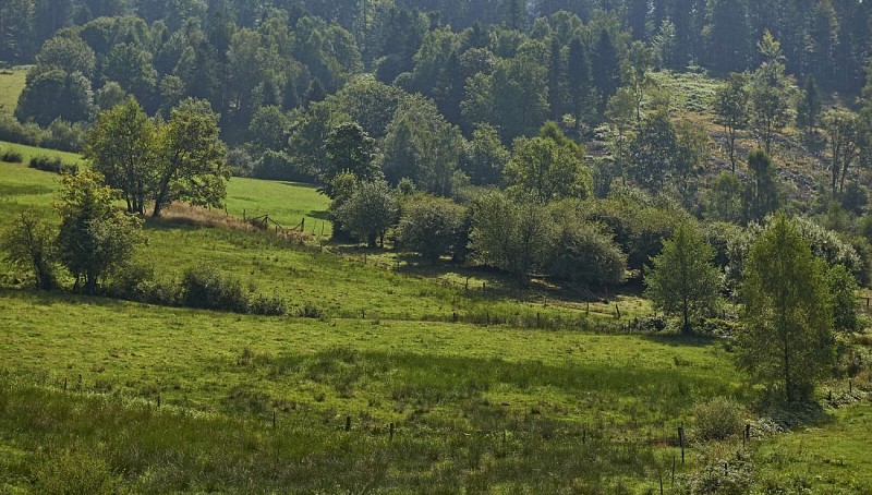 Circuit VTT H13 : Balade sur le versant Vosgien depuis le col de Prayé