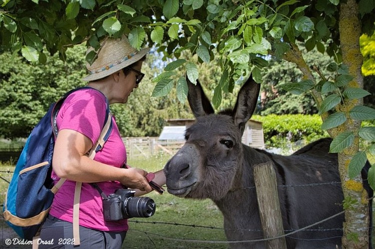 Sur les pas du Conquérant - Variante courte