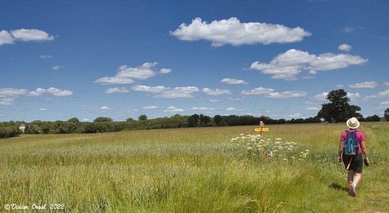 Sur les pas du Conquérant - Variante courte