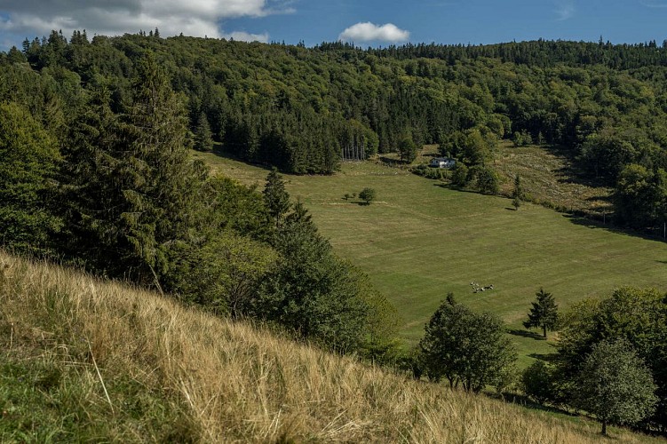 Circuit VTT H02 : De la clairière du Hang à la Climontaine