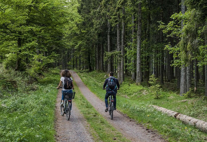 Radwandertour D05 : Vom Col du Donon bis zum Pierre-Percée-See