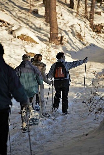 Snowshoe trail D01 : Around the Donon