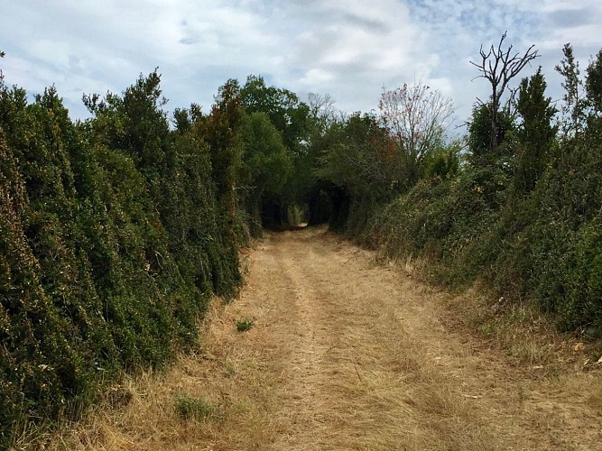 Au départ de la Vacquerie