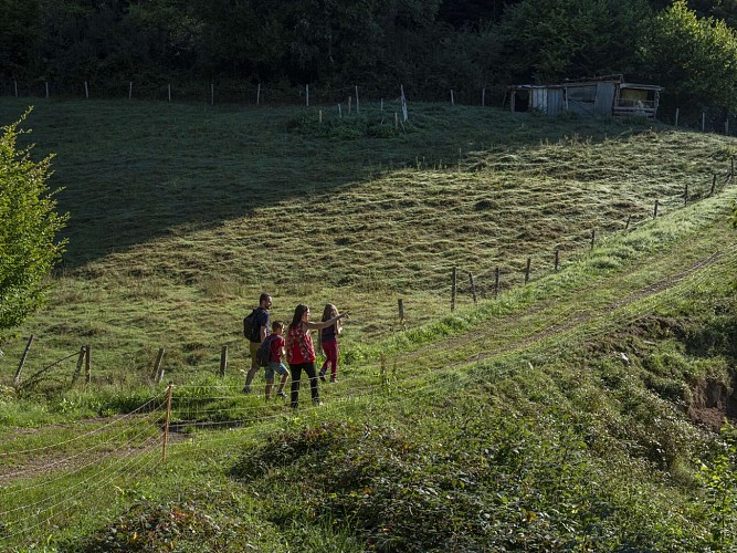 Kinderwagen Rundweg B04 : Park und botanischer Lehrpfad in Urmatt
