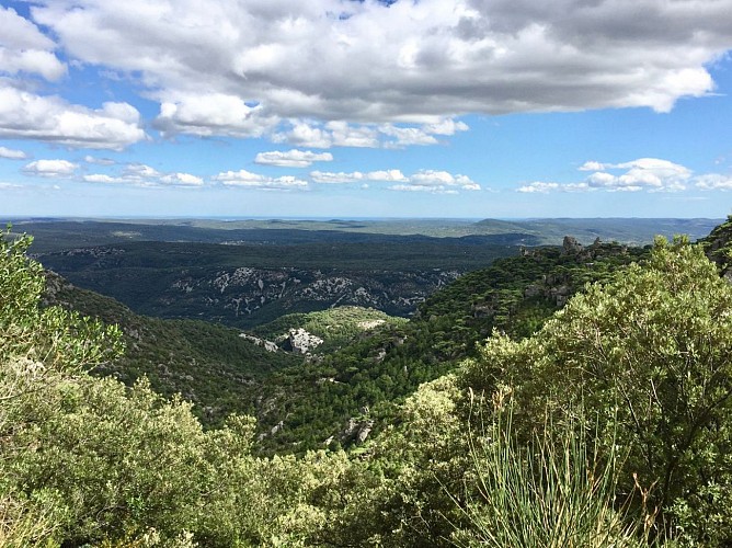 Panorama sur les Gorges de l'Hérault