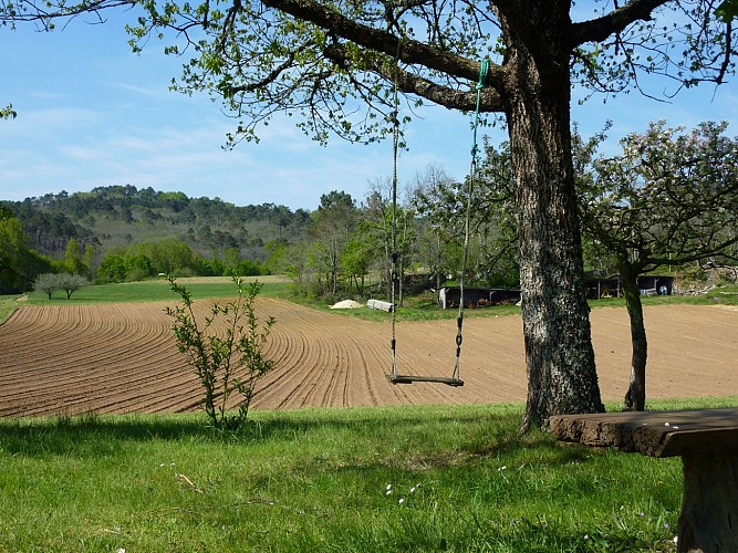 Les Picade - Balançoire devant le champs © Lot Tourisme - C. Sanchez