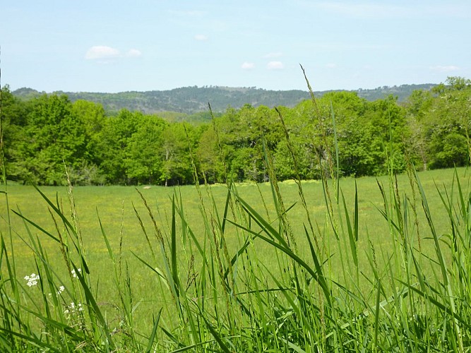 Les Arques - Point de vue sur le Pech Nègre © Lot Tourisme - C. Sanchez