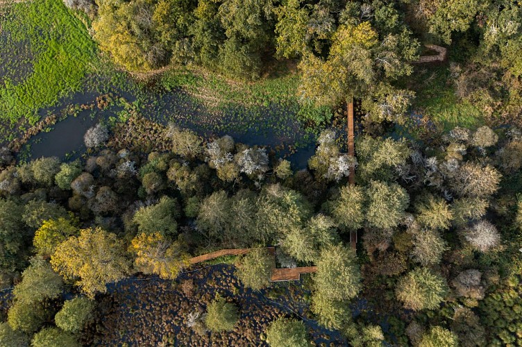 Vue drone des marais de la Masse