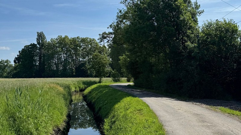 Agenda en ligne - SBT - 7