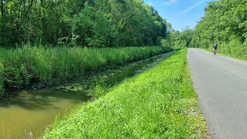 Boucle de la Bugonne - Chemin 