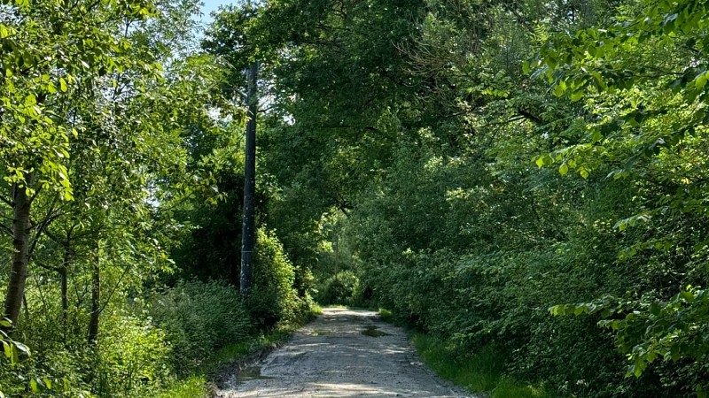 Boucle de la Bugonne - Chemin 