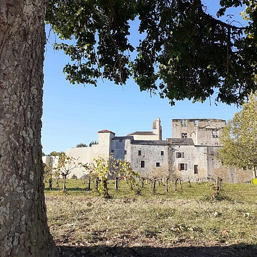 Village fortifié de Larressingle