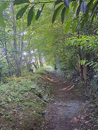 Le val d'Ozée