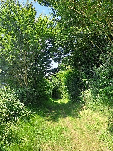 Le val d'Ozée