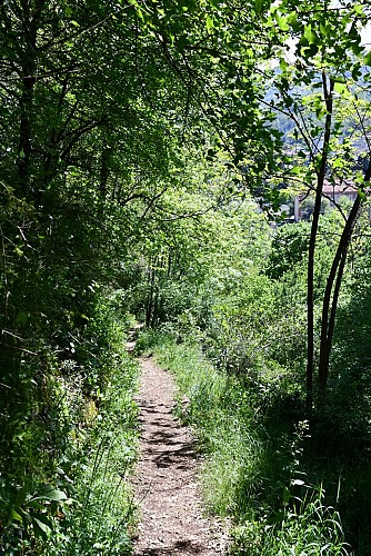 sentier terrasses du pech