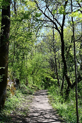 sentier terrasses du pech