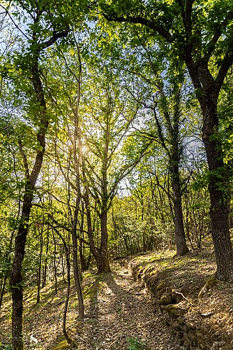 Circuit VTT - La Table de Péraclos - PR 8