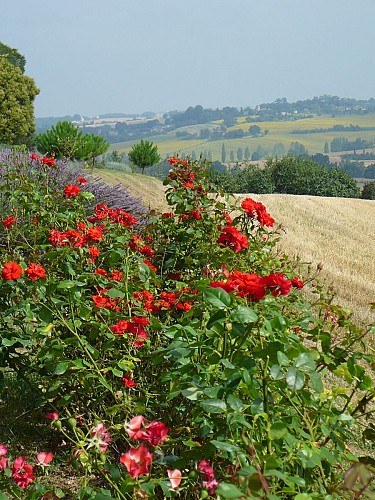 Paysages depuis Blaziert