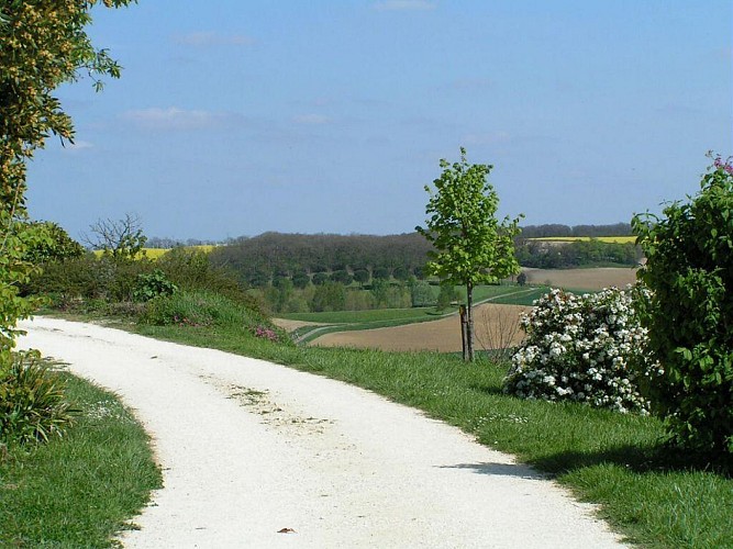 Chemin des senteurs à Blaziert