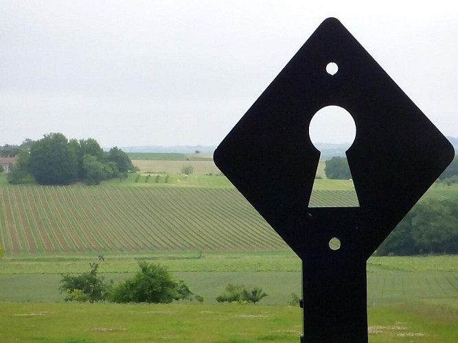 Paysage de vignes vers l'Albret