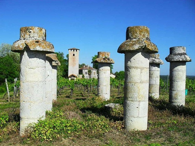 Tour de Lamothe et vestiges de pigeonnier