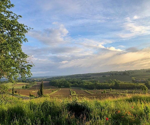 Paysage agroforestier de Lagraulet