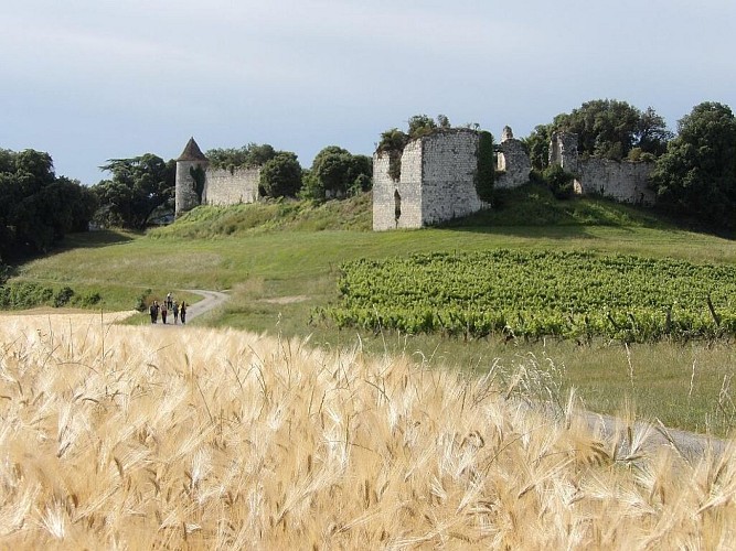 Au pied du château de Pardailhan