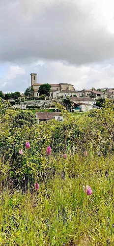 Vue sur le village 3 en 1 de Saint-Puy