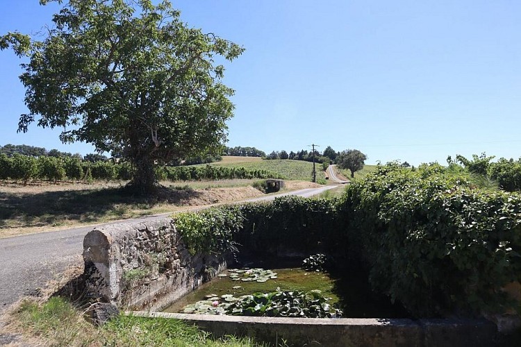 Fontaine et lavoir de Maignaut-Tauzia